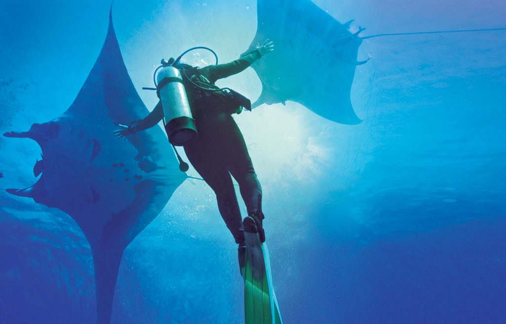 Socorro Giant Mantas diving