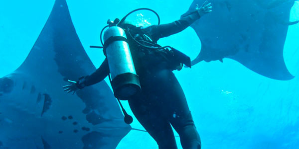 Diver embracing two pacific giant mantas